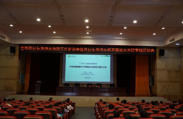 海洋牧場，生態先行，省環保基金會助力陽江建設海洋牧場