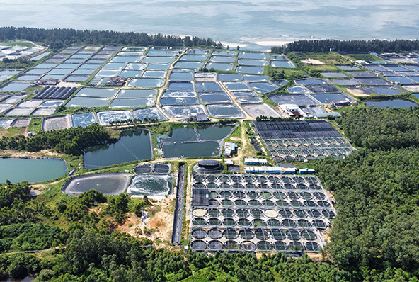 養殖尾水治理